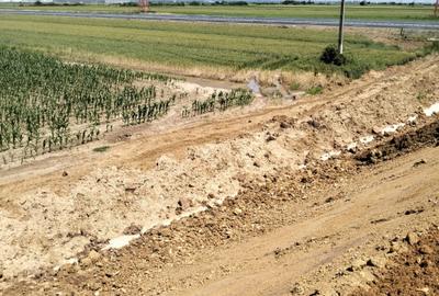 Teren Oarja de 8 400 mp, langa Pasarela A1, 5,5 euro/mp la Pretul 46 200 Euro. - 4