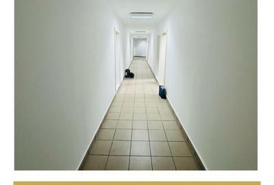 De inchiriat cladire comerciala potential P+M Gradiste Arad - 25