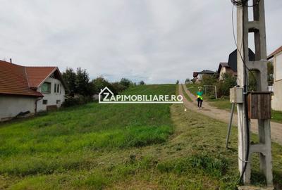 Teren intravilan 2248 mp - Nazna - 5