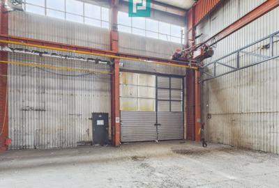 Hală industrială cu pod rulant și parcare betonată - 9