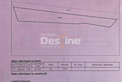 PĂDURE DE VÂNZARE – 17 HA – VALEA MARE, COMUNA BĂLILEȘTI, JUDEȚUL ARGEȘ - 13