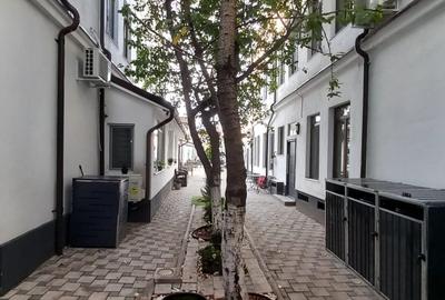 Apartament 2 camere Calea Calarasilor cu gradina - 10