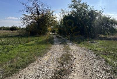 Teren intravilan 3700 mp la 28 km de Pitesti  - zona linistita - 3