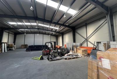 Inchiriere depozit/hala/spatiu industrial Jilava - Giurgiului, Ilfov - 8