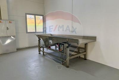 Teren agricol 13,1 ha + Hală 700 mp + Utilaje Agricole - Piscu, Galati - 14