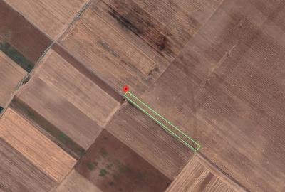 Teren Extravilan In Rate Primaverii Com. Berceni | 2670mp | #EG52 - 1