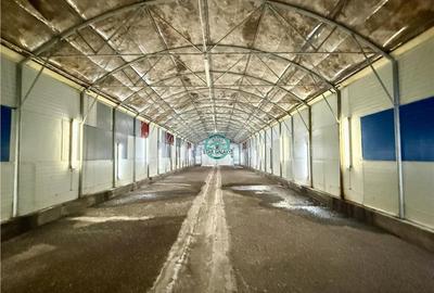 Hale de inchiriat, teren 5500 mp, acces TIR, in Iernut, zona Centru Logistic Lid - 6