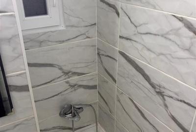 3 camere Renovat, confort 1 decomandat, etaj intermediar, Viziru 3 - 12