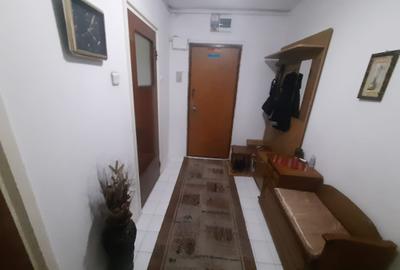 Drumul Taberei Raul Doamnei Prelungirea Ghencea - 14