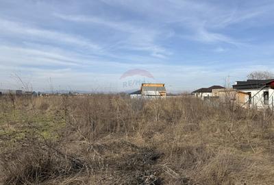 Teren intravilan 7478 mp Bucov, parcelabil, ideal investiție - 5