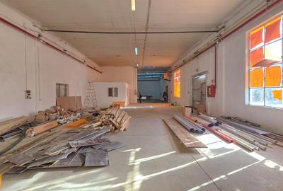 De vanzare spatiu industrial in Turnu Magurele - Teleorman - 8