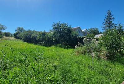 Teren la asfalt la Manastirea Doamnei - 1