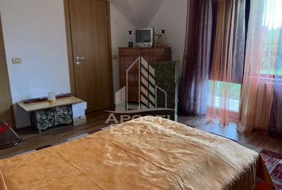 Casa individuala P+E cu teren generos de 856mp, in Sanandrei - 10