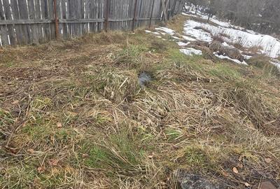 Teren 1812 mp, intravilan , Sovata, jud, Mures - 10