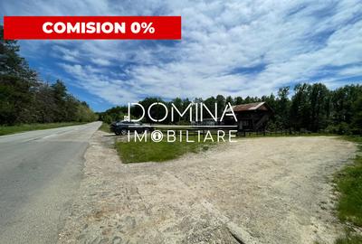Închiriere teren *oportunitate investiție* situat în Cărbunești-Sat, la DN 67B - 1