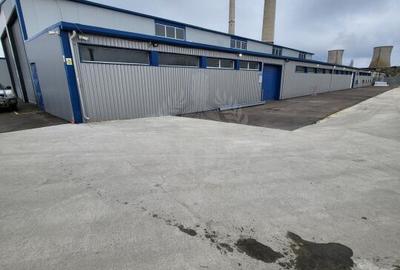 HALA 1800 MP//PLATFORMA BETONATA 5200 MP//ZONA BRAZI - 1