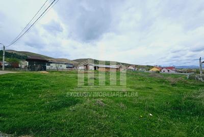 Teren intravilan | 2800 mp | 29 ml deschidere | Micesti - 4