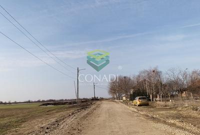 Teren pentru dezvoltare rezidentiala in Tartasesti - 6