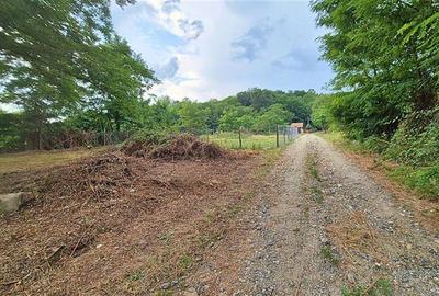 TEREN IDEAL PENTRU A-FRAME SAU UN CONTAINER MODERN - 10