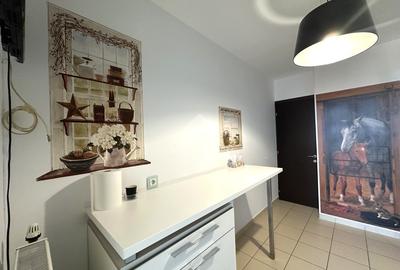 Inchiriere 3 camere - 131 mp - terasa 40 mp - vedere panoramica - ASMITA GARDENS - 9