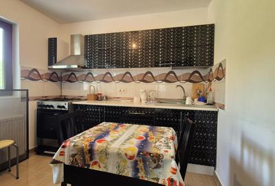 Casa P 1 cu 4 camere, inconjurata de Liniste si Natura - 6