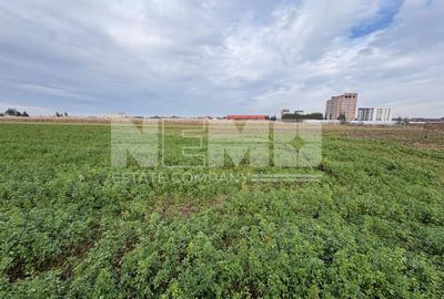 Teren de vânzare | 67 ari | Intravilan | Rădăuți - 2