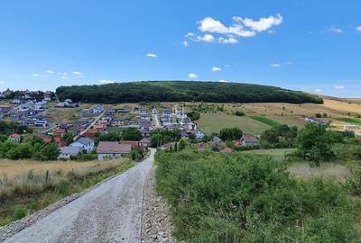 Teren 1 598 Mp De Vanzare, Panorama Superbă, Str Livezi, Sancrai - 4