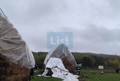 VIla de vanzare Teisani Stubeiu 11250 mp - 7