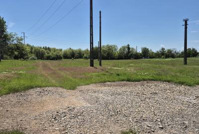 Teren intravilan de vanzare in Baicoi - 6