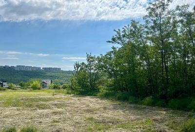 Teren intravilan 522 mp, Platoul Beldiman Rediu, deschidere la 2 străzi, 63.000e - 5