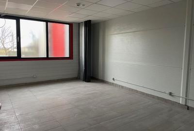 Spatiu depozitare si productie Crevedia - 6