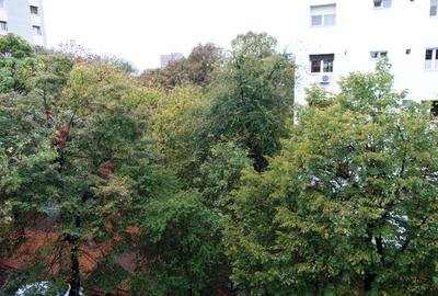 Obor - Ferdinand, apartament 2 camere, confort 1, etaj 4 - 11