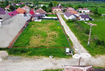 VIDEO | Casa cu teren generos si deschidere la 3 strazi | 10 minute de Satu Mare - 27