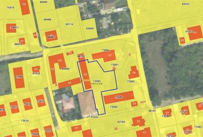 Spatiu versatil 296mp, teren 1766mp, Visan - 9