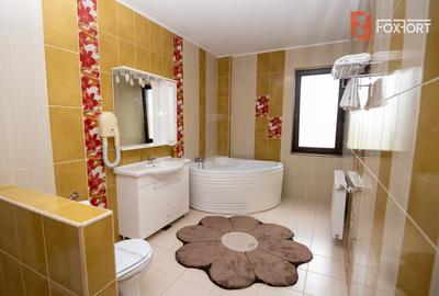 Hotel Miky Arad de vanzare bussiness operational functional - 38 camere - 34