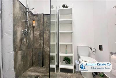 Antony Estate | Vanzare 1 Cam, Regim Hotelier, Baile Felix - Oradea - 8