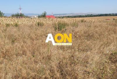 Oportunitate investitie. Oarda de Jos, 16 parcele de 490 mp - 1