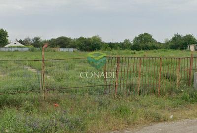 Teren Construcții intravilan de 10000 mp, în Dor Mărunt
