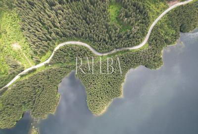 7831mp Padure | 1200mp construbili | 5.min Partie Transalpina | 177m Lac Vidra - 4