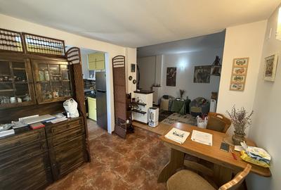 Ultracentral - Piata Civica, casa individuala cu teren 387 mp, centrala gaz - 15