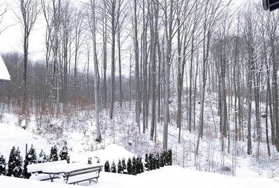 Exclusivitate! VILA PREMIUM CU DESCHIDERE LA LAC MOGOSA - 18