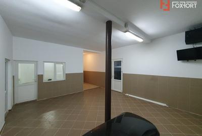Comision 0% Afacere la cheie: service auto de inchiriat 246 mp utili, Sag - 9