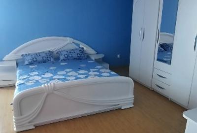 Vilă deosebita aflată intr-o zonă minunată a munțilorApuseni, mobilată,pretabilă - 3