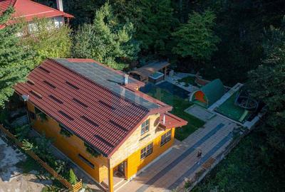 Casa de vacanta superba in Crivaia - 20