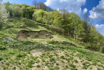 Teren vedere panoramică lac Paltinu si dealuri împădurite in Valea Doftanei - 6