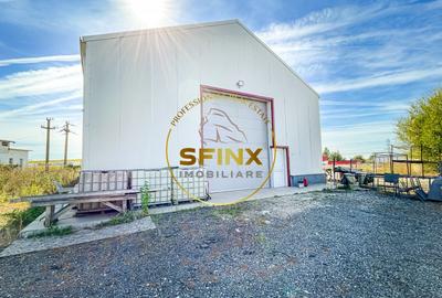 De inchiriat hala 430mp Bragadiru - 4