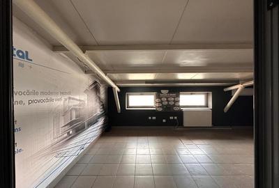 Hala, showroom sos. Pacurari Iasi, zona Mall Moldova, 1310mp - 20