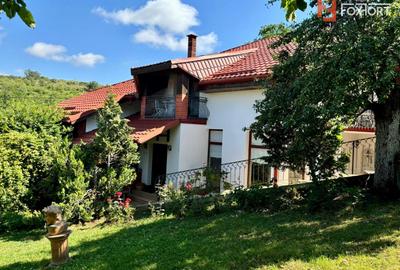 Casa individuala cu 5 camere si teren de 1 hectar - Ghioroc - Arad - 1