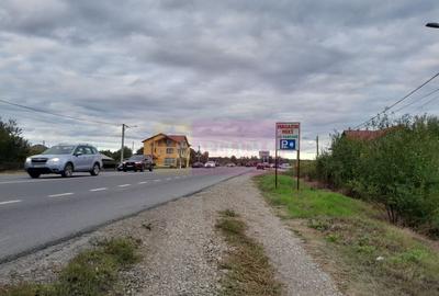 DE VANZARE TEREN 2000 MP  -  COSERENI( il ) - 8