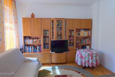 Lunei - Ion Neculce, 2 Apartamente. Mansarda 157 mp. Anexe, Lot 475 mp - 30